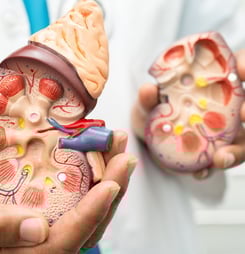 national donate life month