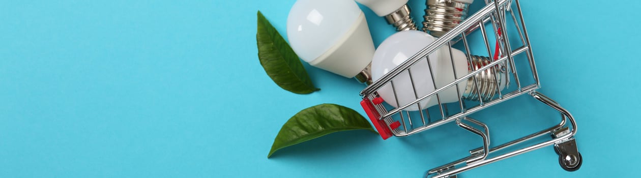 National Energy Shopping Day