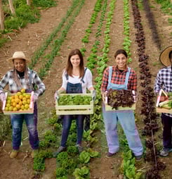 national farm city week