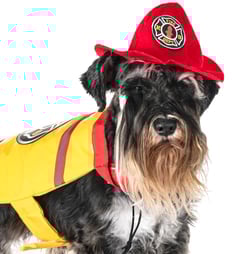 national fire pup day