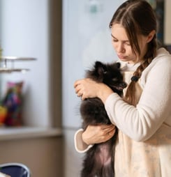 national foster a pet month