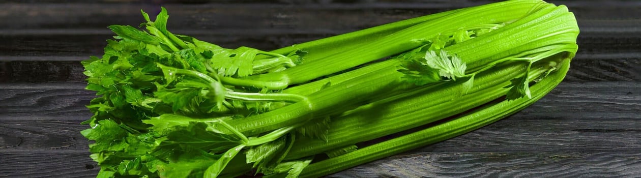 national fresh celery month