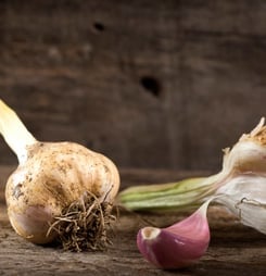 National Garlic Month