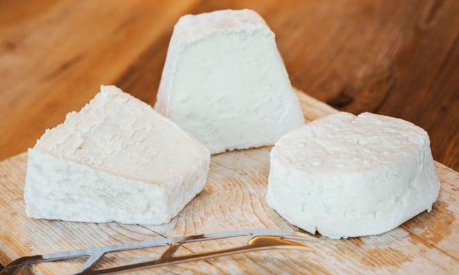 National Goat Cheese Month