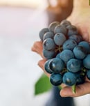 national grape day