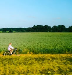 national green city day