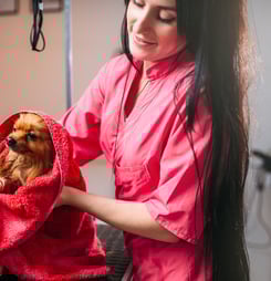 national little pampered dog day