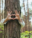 national love a tree day