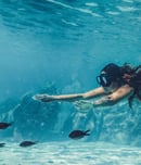 national marine week