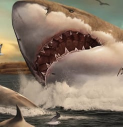 national megalodon day