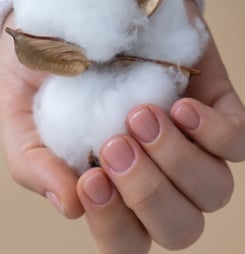 National Natural Fibers Day