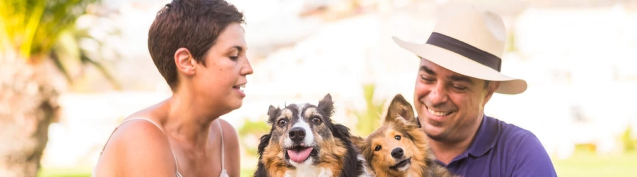 national pet parents day