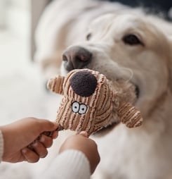 National Pet Choking Prevention Day