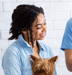 national pet insurance month