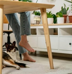 national pet preparedness month