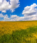 national prairie day