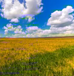 national prairie day