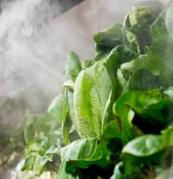 national product misting day