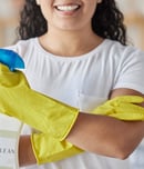national professional house cleaners day