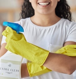 national professional house cleaners day