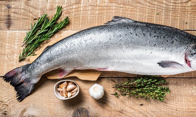 national salmon day