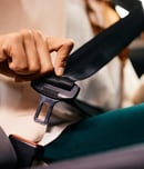national seat belt day