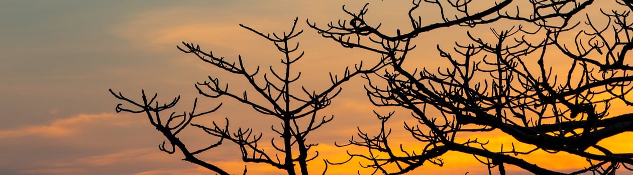 national sky awareness week