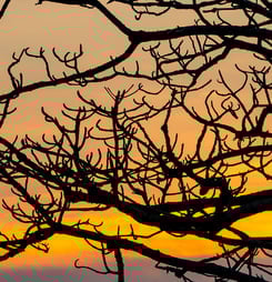 national sky awareness week