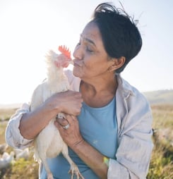 national snuggle a chicken day