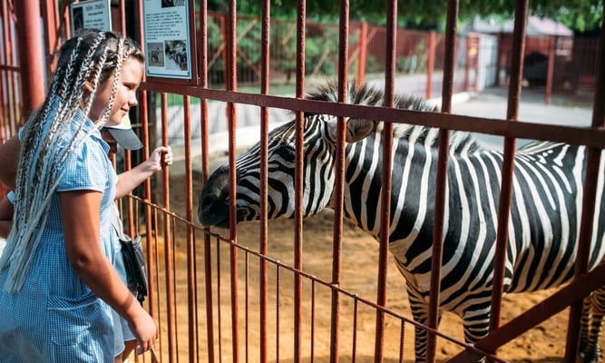 national zoo awareness day