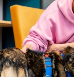 never bean better day