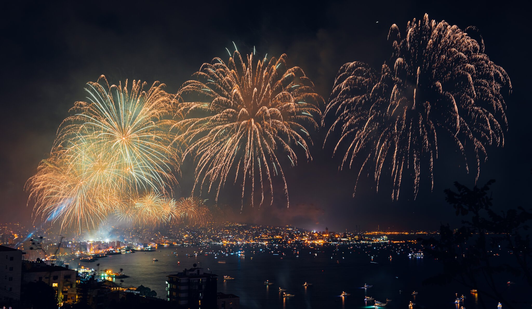 https://www.daysoftheyear.com/wp-content/uploads/new-year-fireworks-2022-12-22-20-23-24-utc.jpg