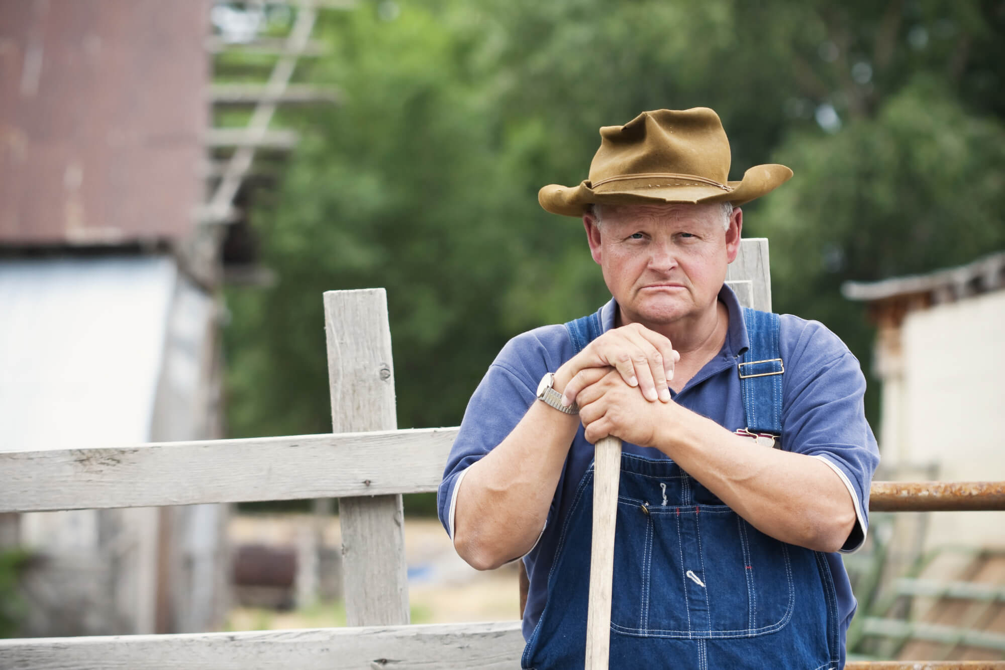 Old Farmers Day (12th October) Days Of The Year