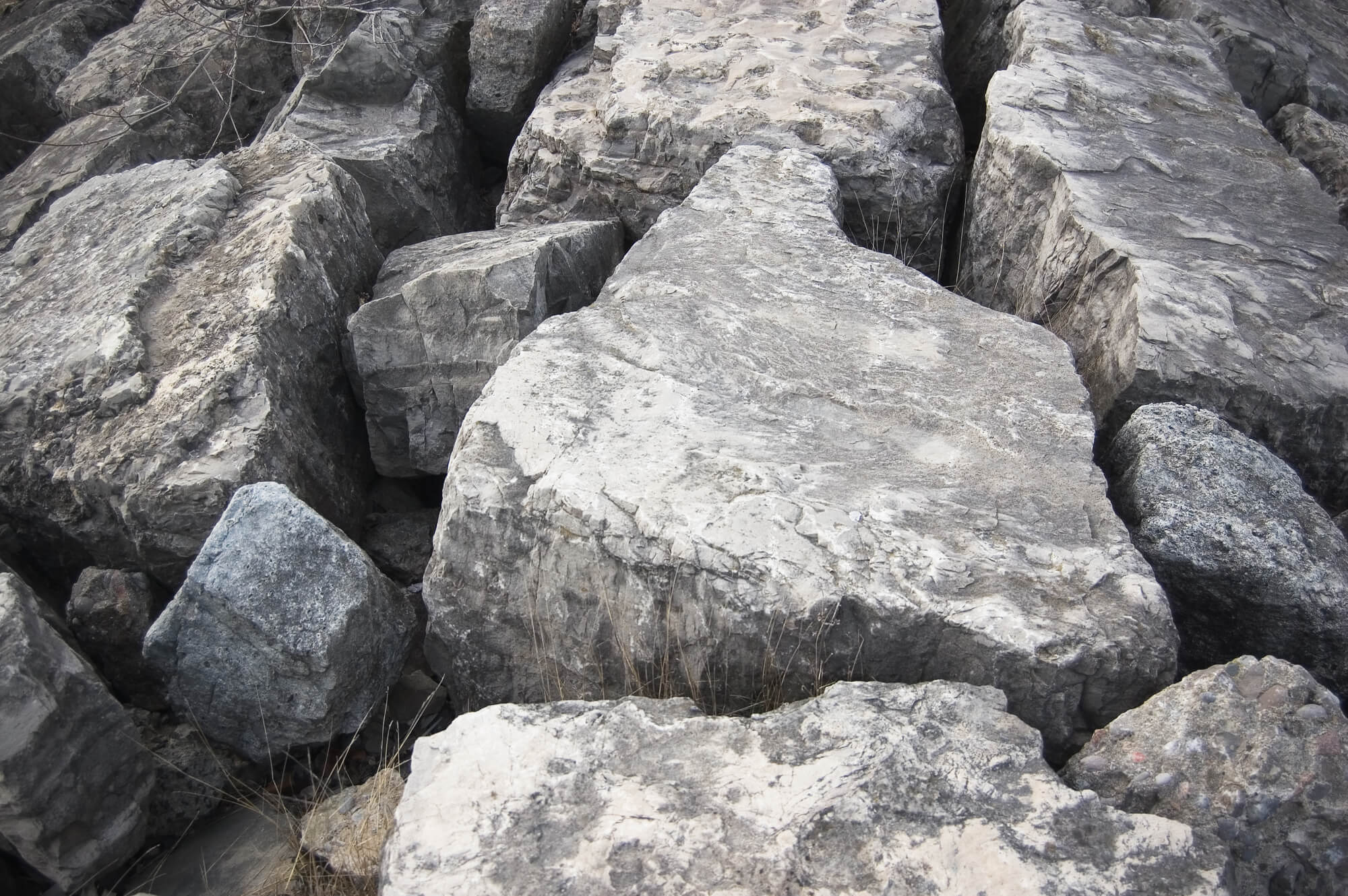 Old Rock Day (7th January) Days Of The Year