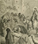 palm sunday in the ortodox church