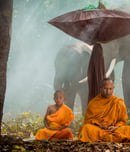 parinirvana day
