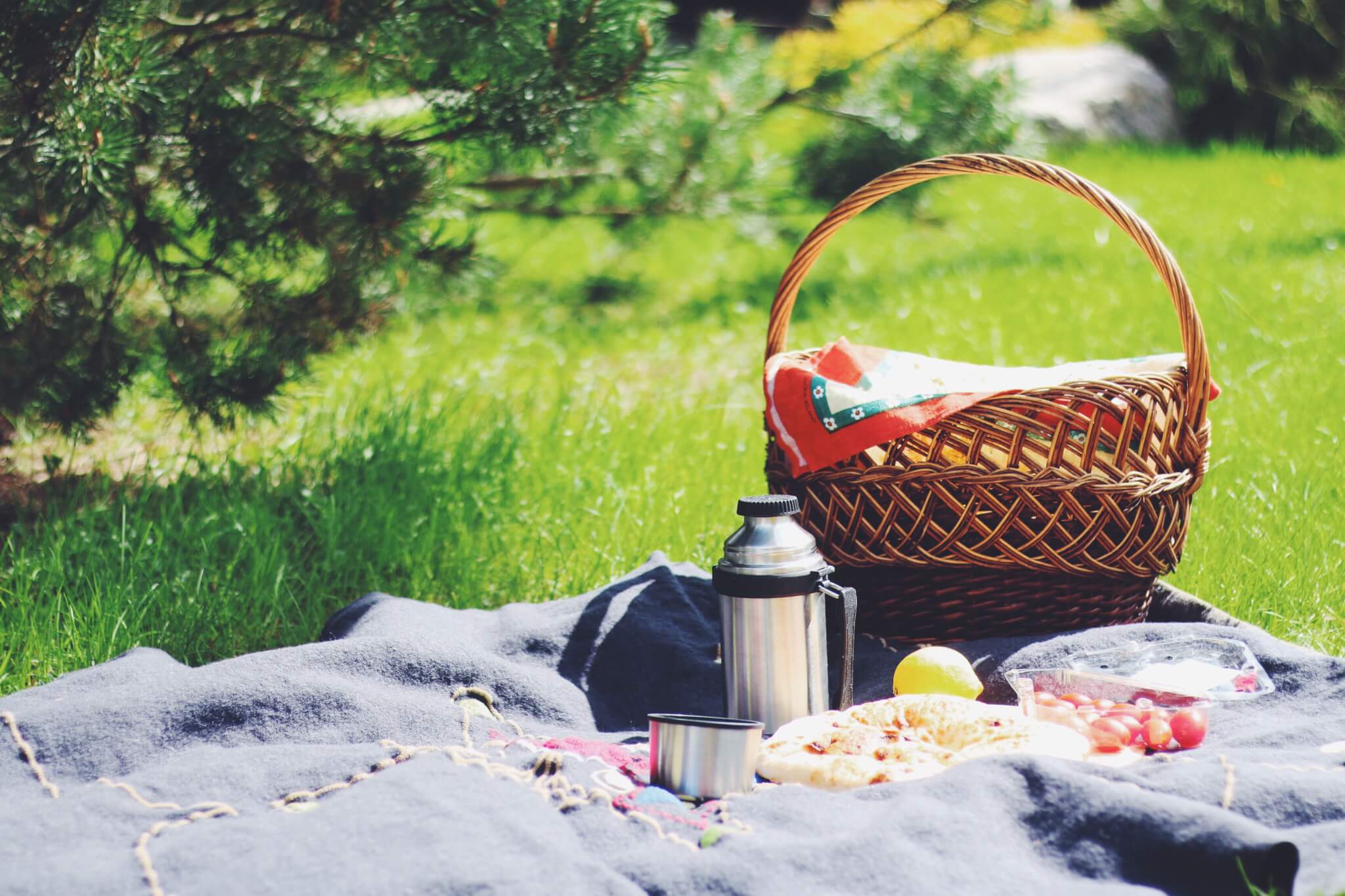 National Picnic Day (April 23rd) Days Of The Year