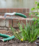 Plant Something Day