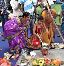 pongal festival