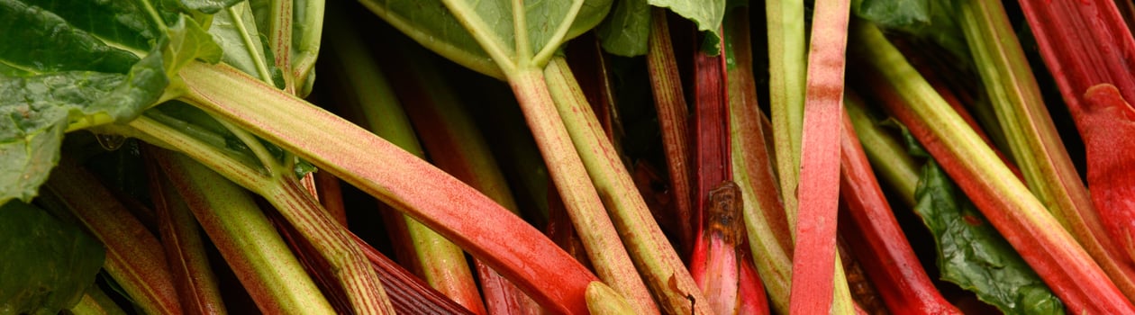 Rhubarb Month