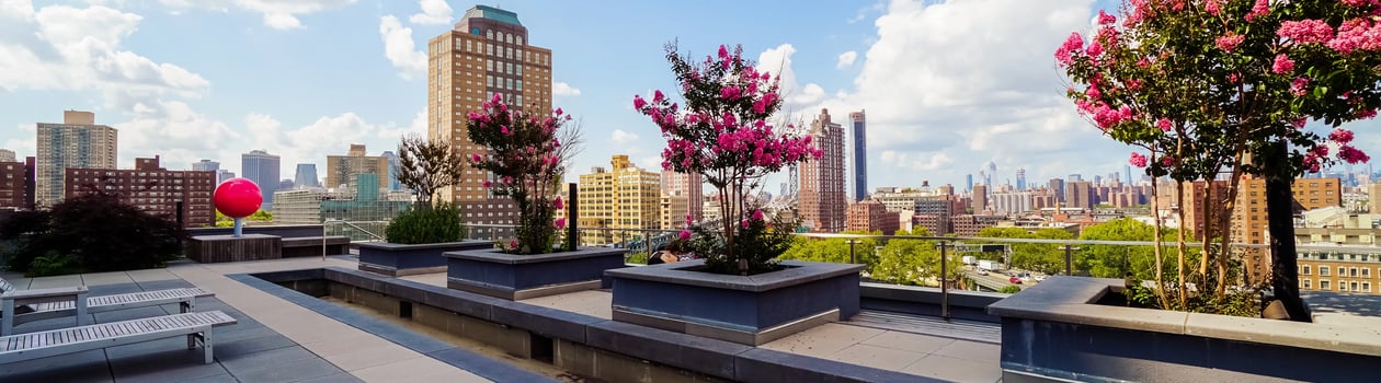 World Green Roof Day