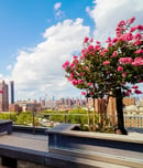 World Green Roof Day
