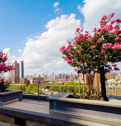 World Green Roof Day