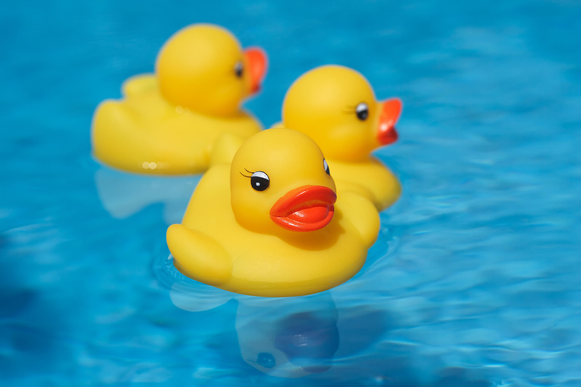 Today is: National Rubber Ducky Day