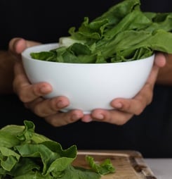 Spinach Lovers Month