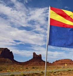 statehood day in arizona