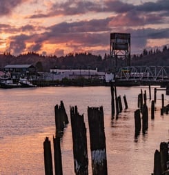 stay away from seattle day