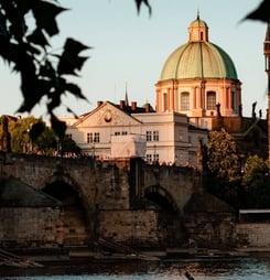 struggle for freedom and democracy day