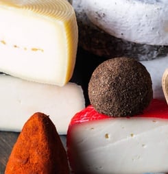 tblisi cheese festival