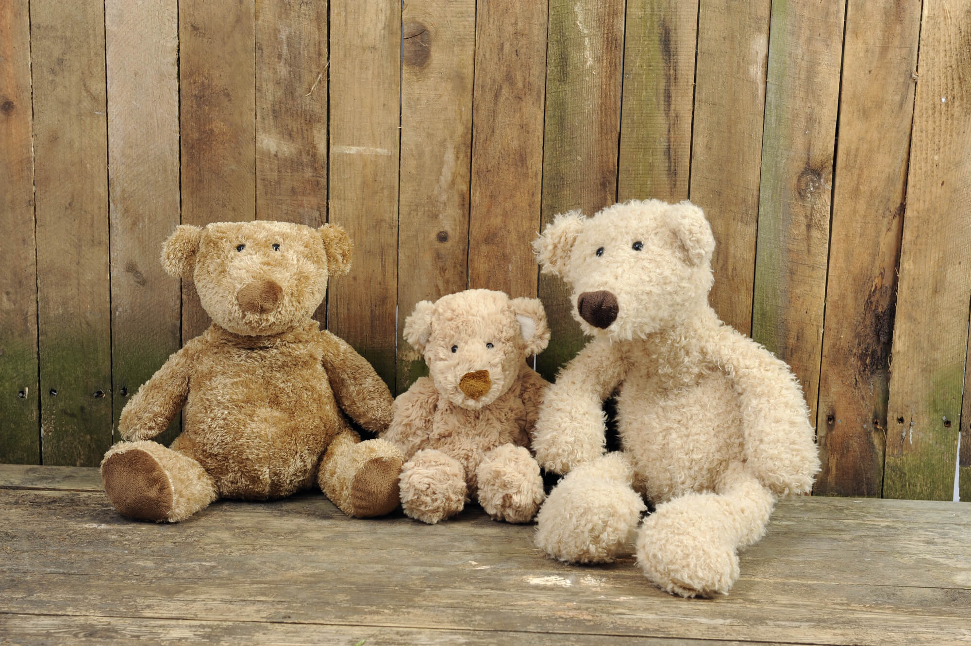 some teddy bears